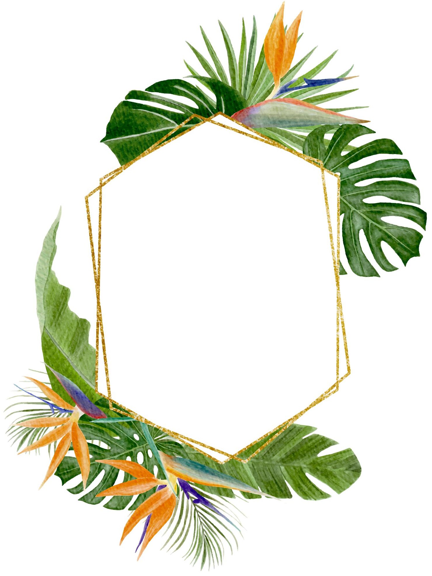 Premium Vector | Handpainted watercolor hexagon shaped tropical frame