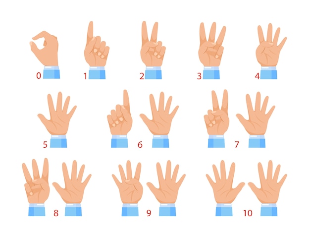 手と指による数字 白い背景で隔離の人間の手と数字のジェスチャー プレミアムベクター