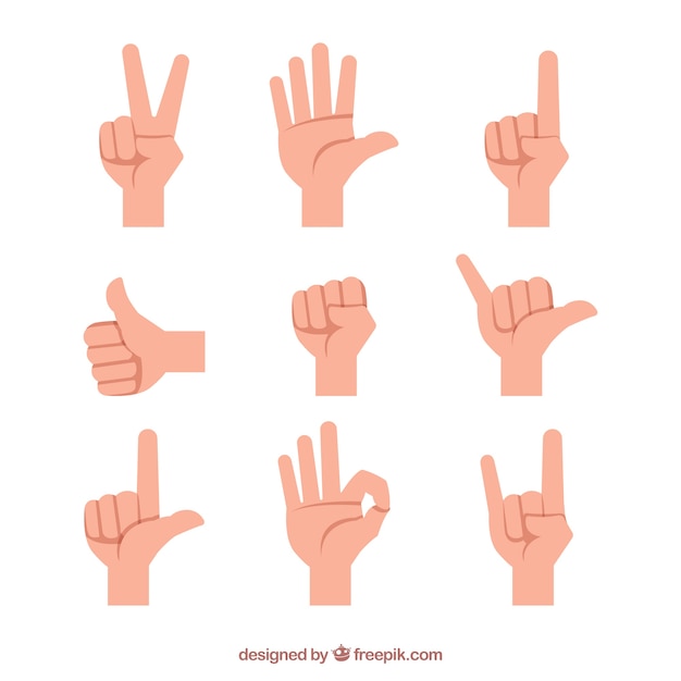 Hands collection with different poses in flat syle Free Vector Hands collection with different poses in flat syle Free Vector