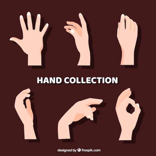  Hand  Poses Vectors Photos and PSD files Free Download