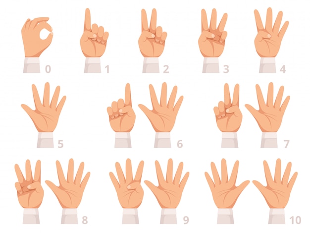手ジェスチャー番号 人間の手のひらと指が異なる番号の漫画イラストを表示 プレミアムベクター