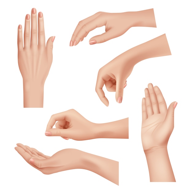 手のジェスチャー 女性の思いやりのある肌の手のひらと指の爪女性の化粧品の手現実的なクローズアップベクトル 手のひらの手の女性 指の女の子の位置別のイラスト プレミアムベクター