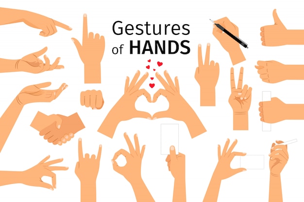 Premium Vector Hands Gestures Isolated