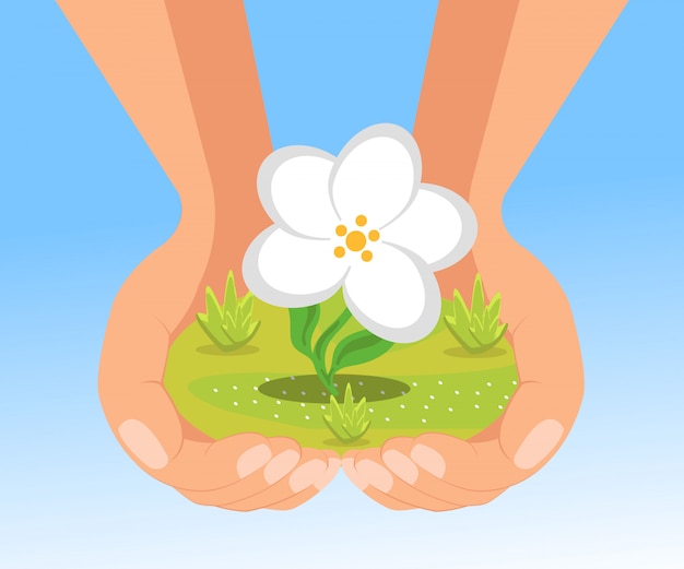 Hands holding flower Vector | Premium Download