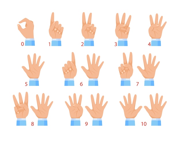 Premium Vector | Hands and numbers by fingers. human hand and number ...