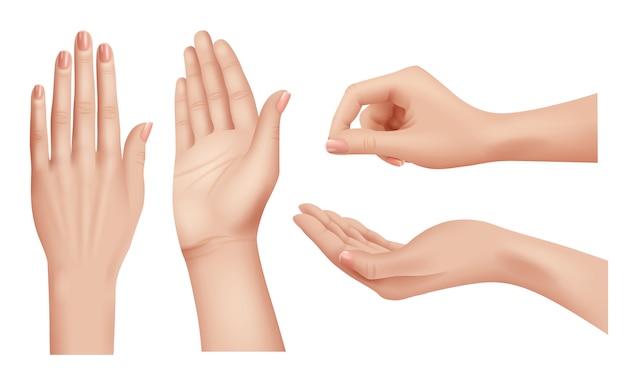 リアルな手 ジェスチャー人間の手のひらと手の人のコミュニケーション言語ベクトルのクローズアップを指しています イラストリアルな人間の手 手のひら 指の爪 プレミアムベクター