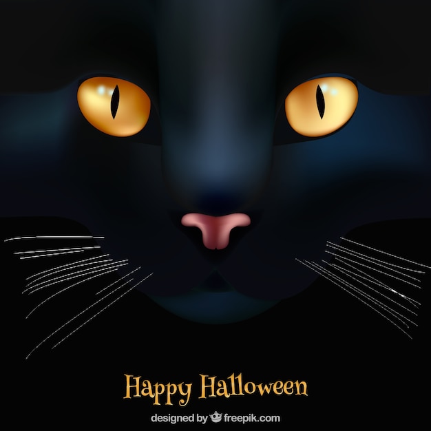 Happy halloween background with black\
cat