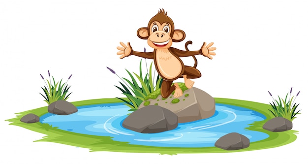 Premium Vector | Happy monkey at pond