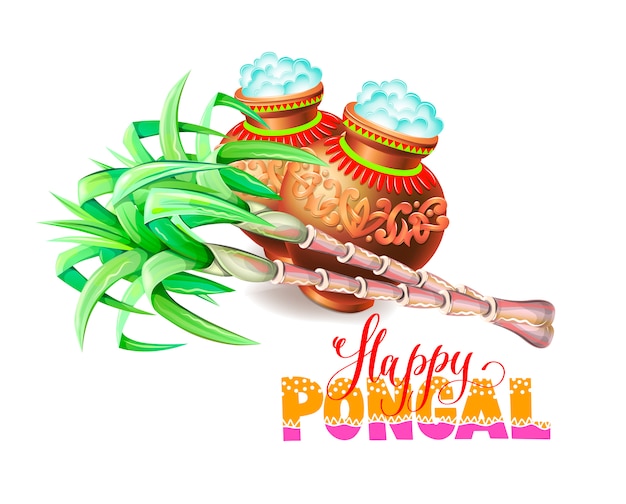  Happy  pongal greeting card to south indian harvest  