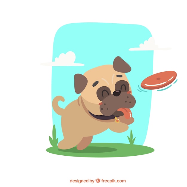 Happy pug playing with frisbee