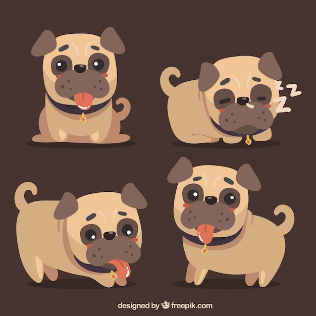 Happy pugs with lovely style