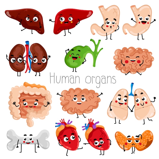 Happy and sad organs cartoon characters Premium Vector