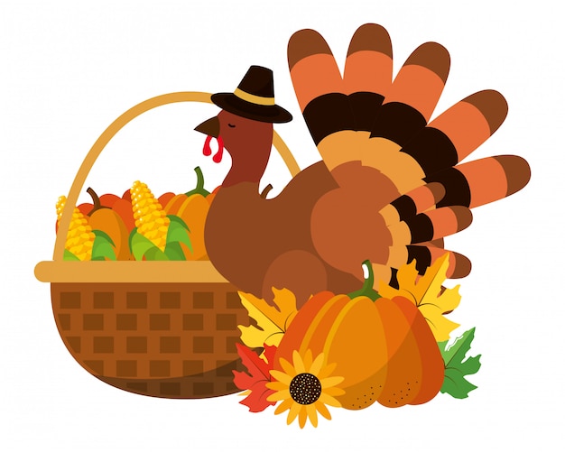 Premium Vector | Happy thanksgiving cartoon