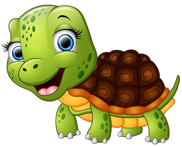 Premium Vector | Happy turtle cartoon isolated on white background