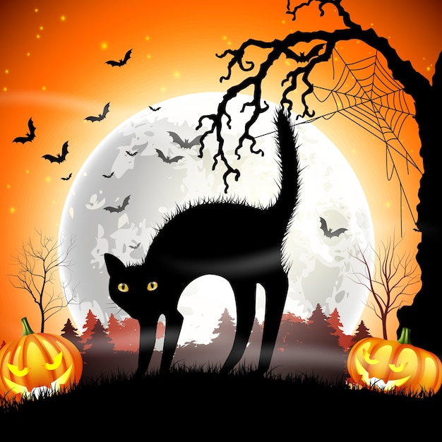 Premium Vector | Haunted black cat with pumpkin halloween on the full moon