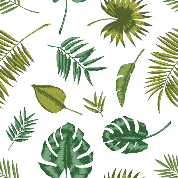 白い背景の上の熱帯群葉とハワイアンのシームレスなパターン エキゾチックな熱帯雨林の植物や木の緑の葉の自然な背景 包装紙 壁紙の夏イラスト プレミアムベクター