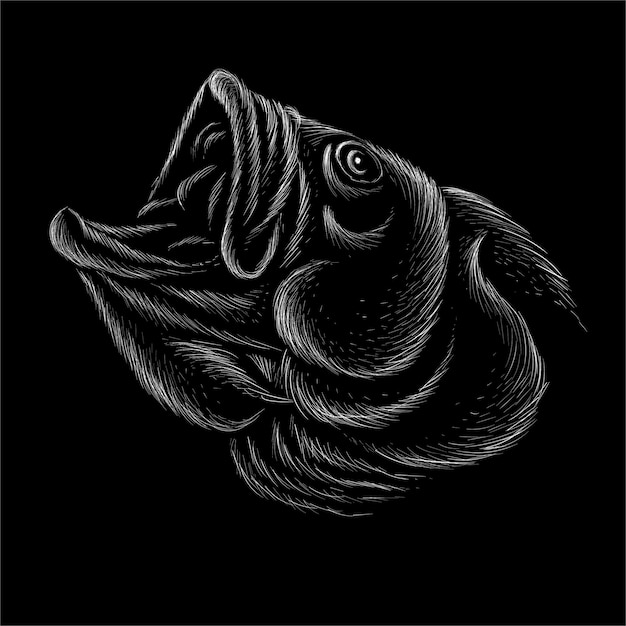 Premium Vector The head drawing fish