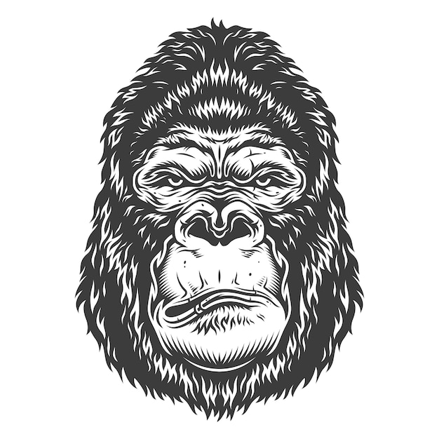 Head Of Gorilla Free Vector