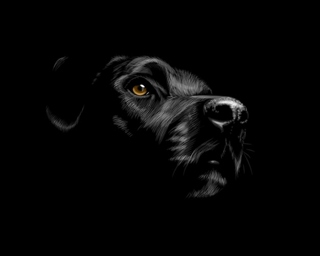黒の背景にラブラドールレトリバー犬の肖像画の頭 ベクトルイラスト プレミアムベクター