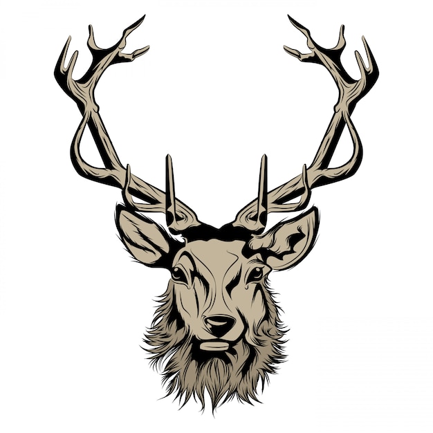 Head of stag illustration | Premium Vector