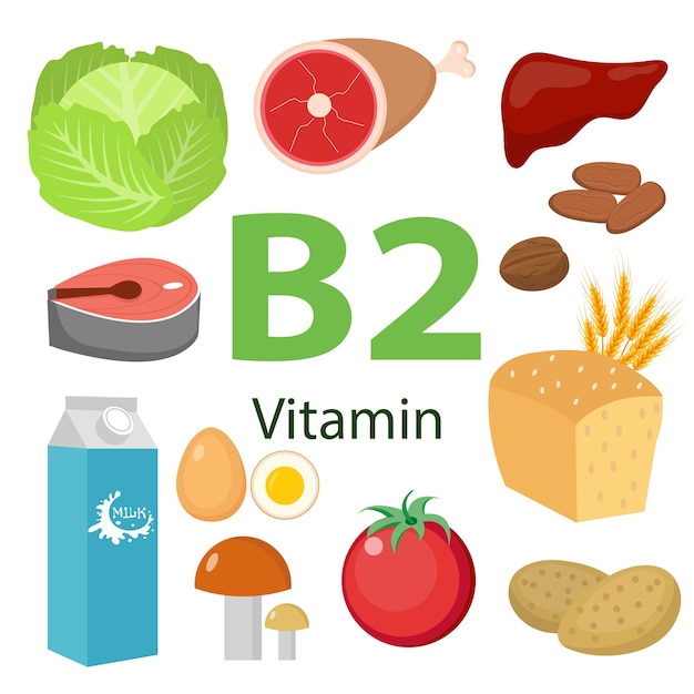 Premium Vector | Health benefits information of vitamin b2