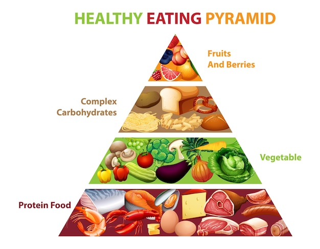 Free Vector | Healthy eating pyramid chart
