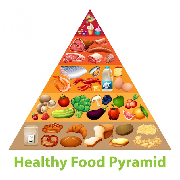 Free Vector | Healthy food pyramid chart