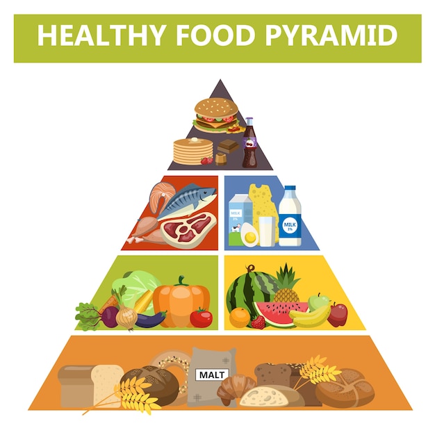 Premium Vector | Healthy food pyramid. different groups of products ...