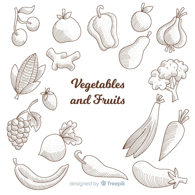 Free Vector | Healthy food sketches collection