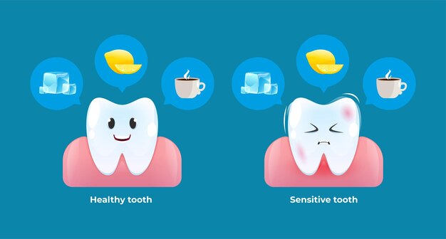 Premium Vector | Healthy and sensitive tooth. reaction of the teeth on