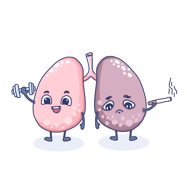 Premium Vector | Healthy and unhealthy lungs