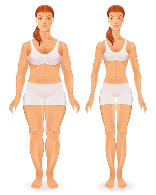 健康対不健康な人 人体図 脂肪スリム女性図 プレミアムベクター