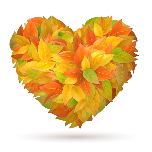Heart from colorful autumn leaves. Premium Vector