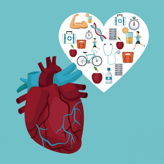 Premium Vector | Heart organ with heart frame with icons health