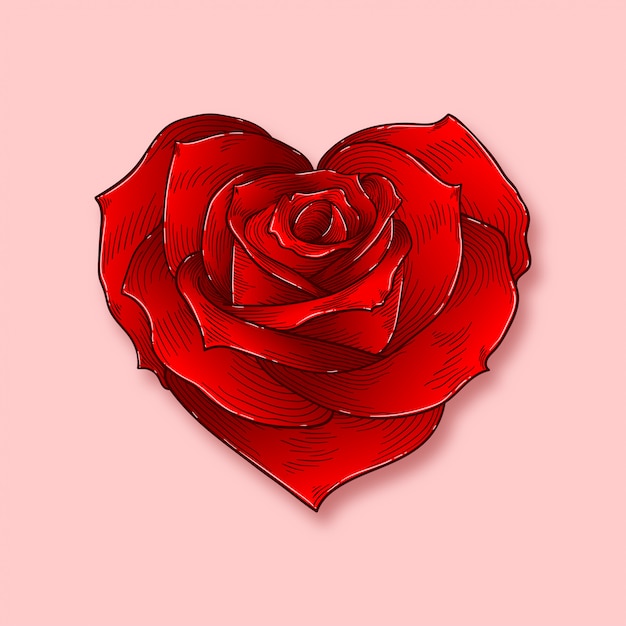 Heart-shaped rose, colored illustration | Premium Vector