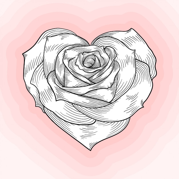 Premium Vector Heartshaped rose, monochrome sketch