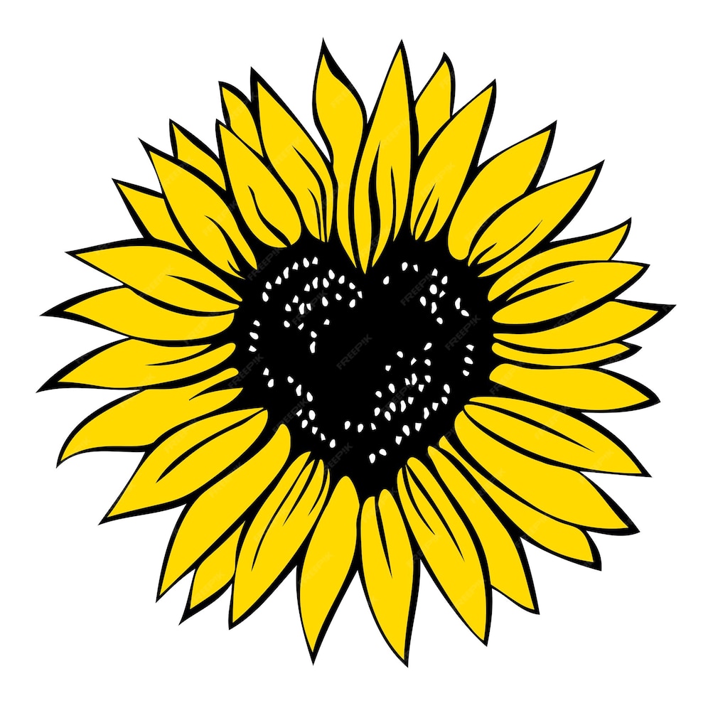 Premium Vector Heart shaped sunflower