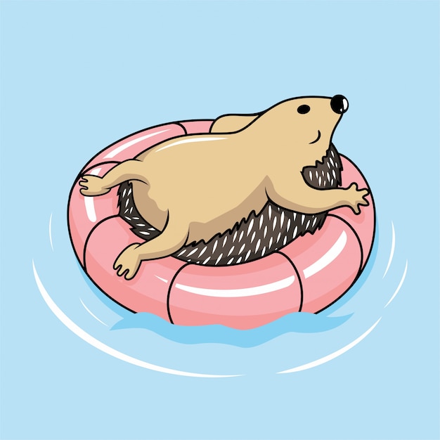 hedgehog pool float