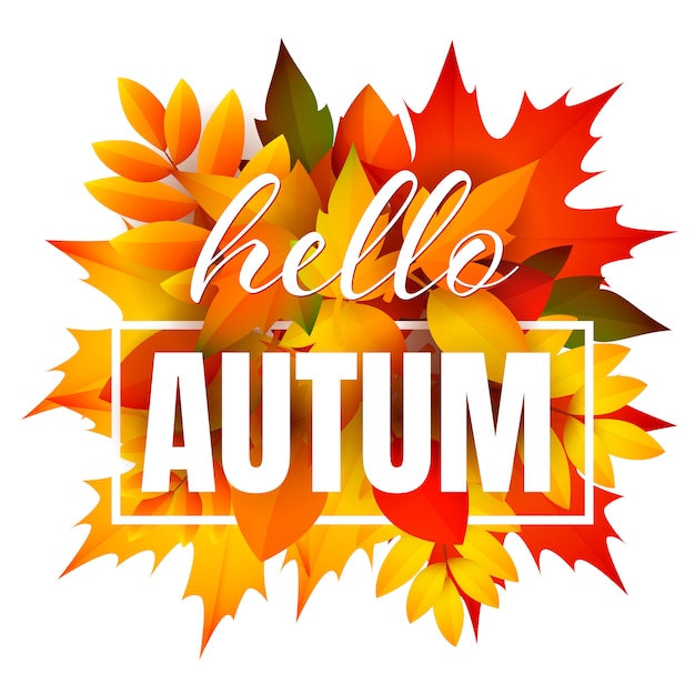 Hello autumn leaflet with bunch of leaves Vector | Free Download