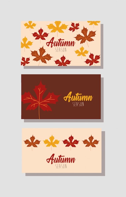 Hello autumn season bundle of cards Free Vector