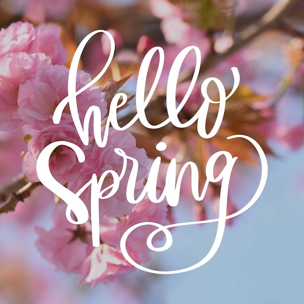 Free Vector | Hello spring calligraphy with pink flowers