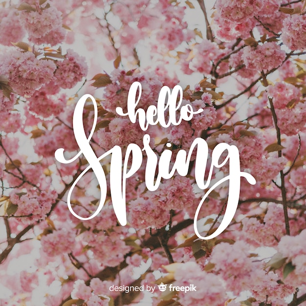 Free Vector | Hello spring lettering with photo