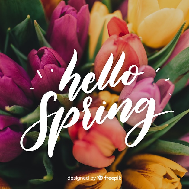 Free Vector | Hello spring lettering with photo