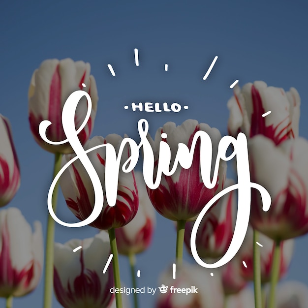 Free Vector | Hello spring lettering with photo