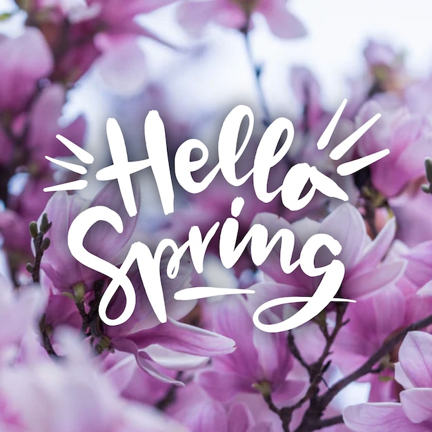Free Vector | Hello spring lettering with photo