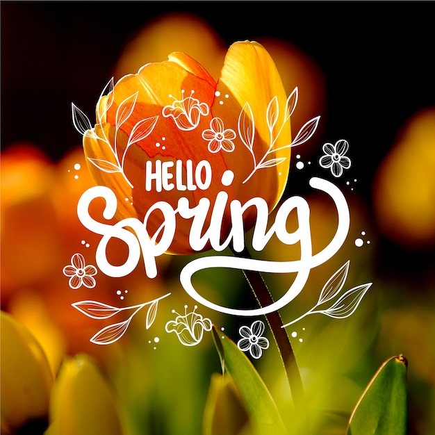 Free Vector | Hello spring lettering with photo