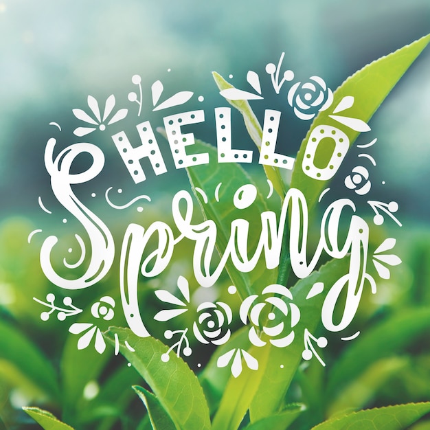 Hello spring lettering with photo | Free Vector