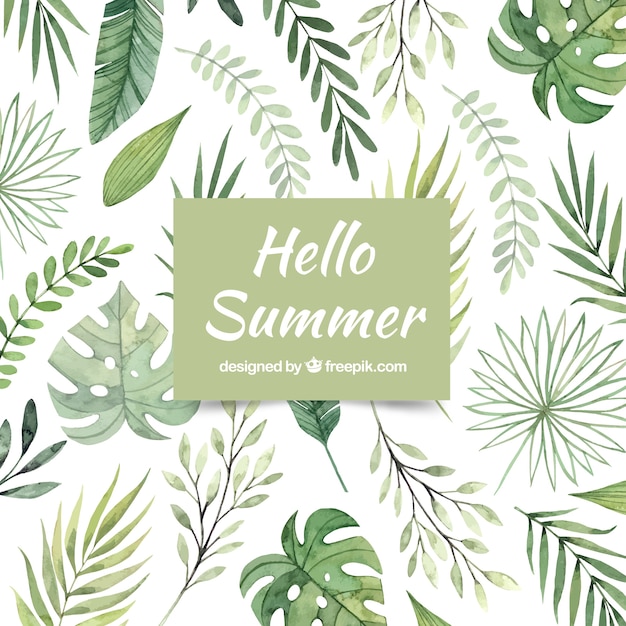 Hello summer background with different plants in watercolor style Free Vector Hello summer background with different plants in watercolor style Free Vector