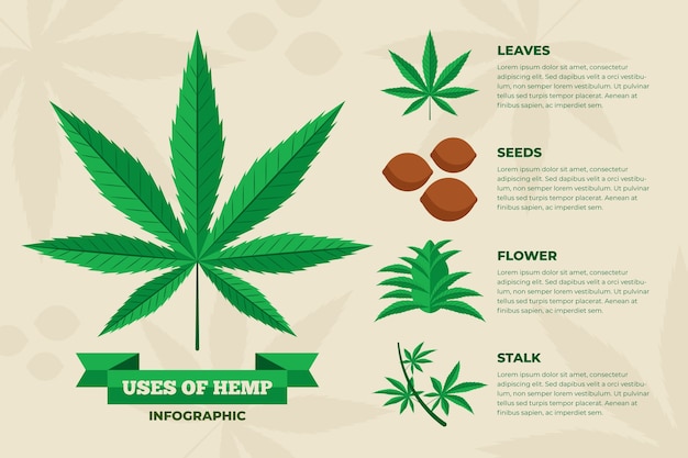 Free Vector Hemp Uses Infographic Template 7122