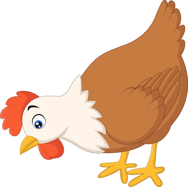 Premium Vector | Hen cartoon